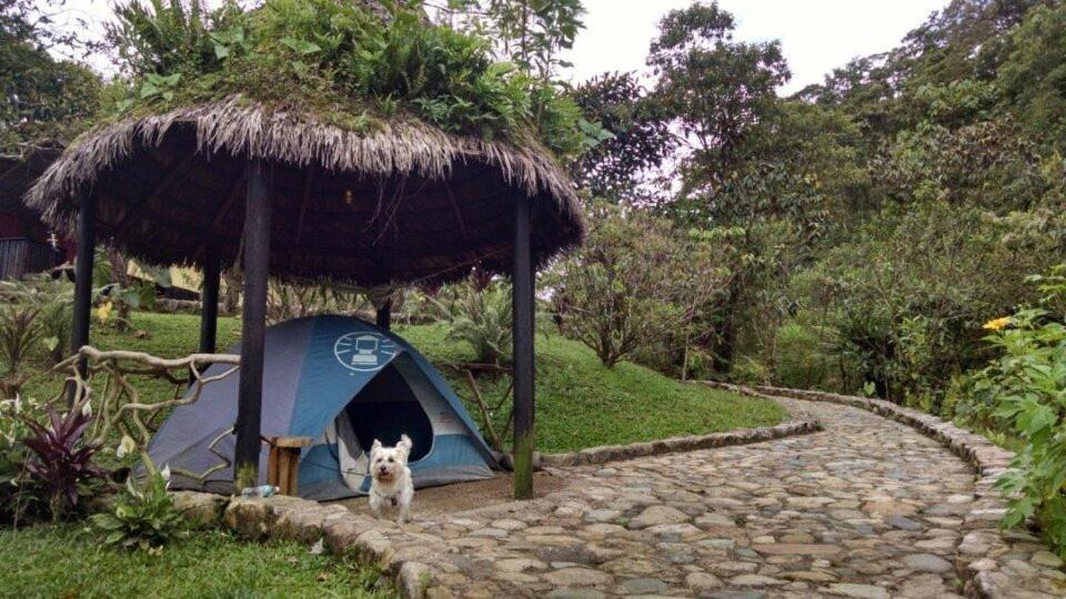 Finca De La Vaca - Family House Hotel Mera Eksteriør billede